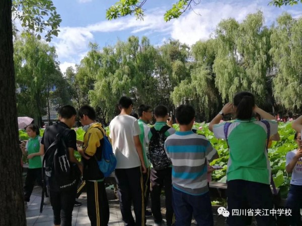 微信图片_20180831174933_副本.jpg